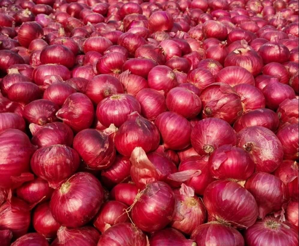 Red Onion